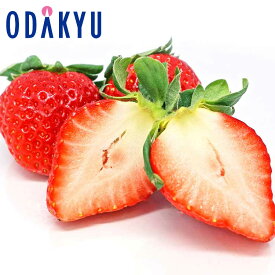 いちご 送料無料 限定販売 熊本県菊池産 糖蜜使用 ひのしずく お試し 約0.2kg ｜7-12日程度でのお届け※沖縄・離島へは届不可(直)