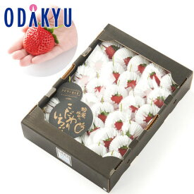いちご 送料無料 限定販売 熊本県菊池産 糖蜜使用 ひのしずく 約0.7kg 黒箱 ｜7-12日程度でのお届け※沖縄・離島へは届不可(直)