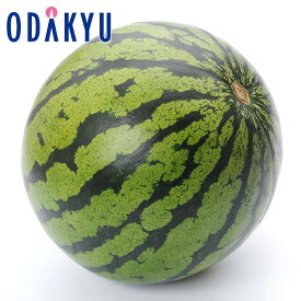 西瓜 送料無料 熊本県産 温室すいか 1玉詰め 約2kg ｜2月中旬以降のお届け※沖縄・離島へは届不可(直)