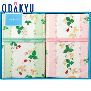 Mtg j m EFbWEbh n Ȗѕz iщHj Zbg b7-10xł̂͂Eւ͓͕s(A)