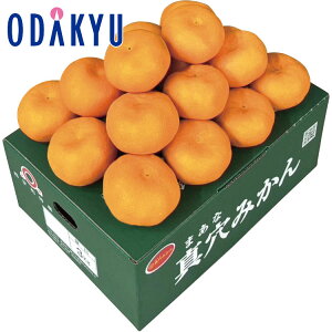  ܂Ƃߔ QY ^݂ b12{`12{̂͂Eւ͓͕s