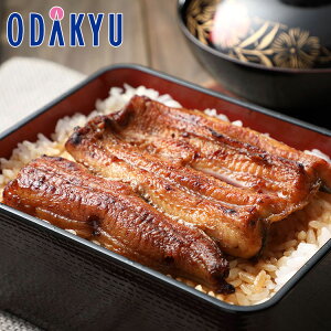 Ȃ ΏĂ  2026 y m {{D n YĖiZbg 2 bẃEւ͓͕s(h)