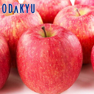  2026 t[c Tӂ 2.4kg 6`8 b2026N18ȍ~͂Eւ͓͕s(h)