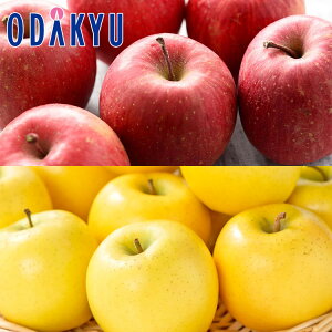  2026 t[c g񂲐Hה׃Zbg e1kg b2026N18ȍ~͂Eւ͓͕s(h)