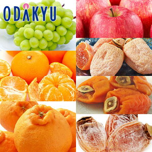  2026 t[c Vtt[c喞Zbg b2026N18ȍ~͂Eւ͓͕s(h)