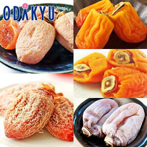  2026 t[c 2026`v~A ̊`蕟 b2026N18ȍ~͂Eւ͓͕s(h)