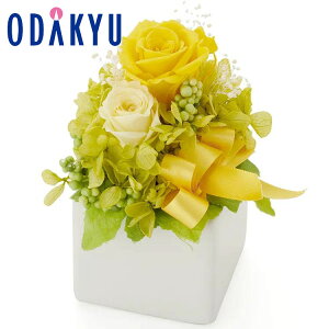 Mtg m 悵܂t[ n vU[uht[ L[uAW b7-10xł̂͂Eւ͓͕s(A)