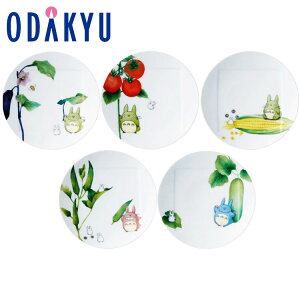 MtgbsO m m^P n ƂȂ̃gg ؃V[Y15.5cmv[gZbgGς 5 1704-15L/VF94531 b7-10xł̂͂Eւ͓͕s(A)