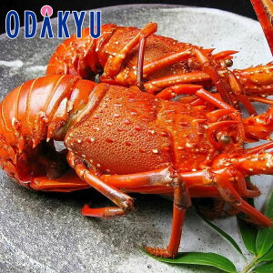   Yn  VRɐCVY{CⓀ b7-10xł̂͂Eւ͓͕s()