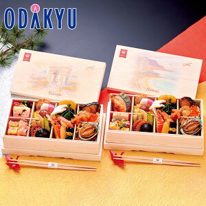 SݓX JALZNV JALCCďC2q Ⓚ  2026 \ O\ Ԍ     LX  U N Nn  Ƒ b1230()ɂ