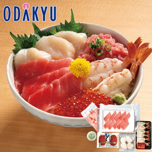 SݓX  Jlg  CNܐFZbg 3E4lO Ⓚ  2026 \ O\ Ԍ     LX  U N Nn  Ƒ b1230()