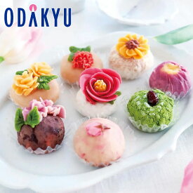 百貨店公式 ＜ うめとおはぎ ＞ -はなえむ-おはぎ8個 冷凍 おせち 2026 予約 事前予約 期間限定 送料無料 おせち料理 お節 お取り寄せ 有名店 お正月 元旦 年末 年始 高級 家族 ｜12月30日(火)にお届け※北海道・四国・九州・沖縄・離島へは届不可(O)