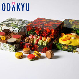 百貨店公式 スイーツ ［ ピエール エルメ パリ ］ドゥスール デュ ヌーベル アン 3段 おせち 2026 マカロン ケーキ｜指定日（※12/27-12/30）届※沖縄・離島へは届不可(O)