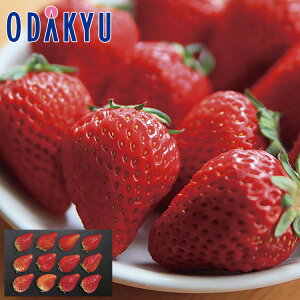 【公式】小田急百貨店 奈良県産 古都華 / 御歳暮 歳暮 冬ギフト 冬の贈り物 2025 楽天 親戚 友人 会社宛 両親 |12/10より順次お届け(※お届け希望期間指定)※沖縄・離島へは届不可
