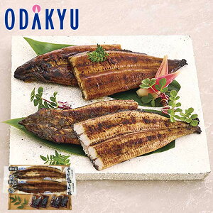 yzc}SݓX m Ȃ̍]X n V   / Ε Ε ~Mtg ~̑蕨 2025 yV e Fl Ј e b͂]Ԏw聦Eւ͓͕s