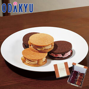 yzc}SݓX m peBX[UltH[ n L}J_~ATh  Xgx[`R[gTh / Ε Ε ~Mtg ~̑蕨 2025 yV e Fl Ј 