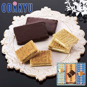 yzc}SݓX m VK[o^[̖ n VK[o^[̖ RNV 34ܓ / Ε Ε ~Mtg ~̑蕨 2025 yV e Fl Ј e b11/6菇͂i