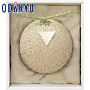 yzc}SݓX m D n ϔ }XN / Ε Ε ~Mtg ~̑蕨 2025 yV e Fl Ј e b͂]Ԏw聦Eւ͓͕s