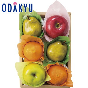 yzc}SݓX m D n ~̉ʕ l t / Ε Ε ~Mtg ~̑蕨 2025 yV e Fl Ј e b͂]Ԏw聦Eւ͓͕s