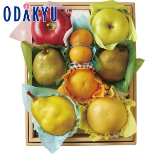 yzc}SݓX m D n ~̉ʕ l P / Ε Ε ~Mtg ~̑蕨 2025 yV e Fl Ј e b12/1菇͂i͂]ԎwjE