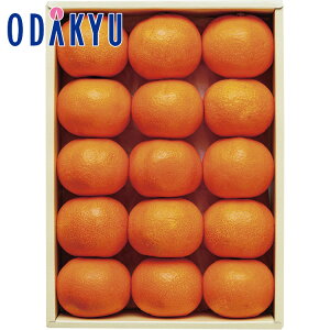 yzc}SݓX m D n  l / Ε Ε ~Mtg ~̑蕨 2025 yV e Fl Ј e b͂]Ԏw聦Eւ͓͕s