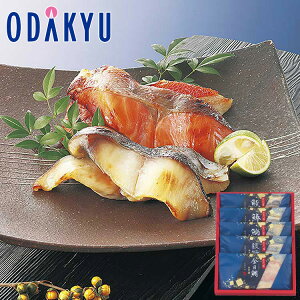 yzc}SݓX m Ȃ n  SD-5C / Ε Ε ~Mtg ~̑蕨 2025 yV e Fl Ј e b͂]Ԏw聦Eւ͓͕s