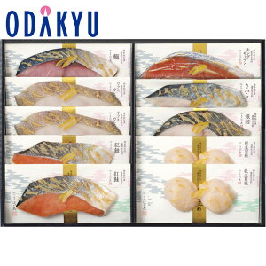 yzc}SݓX m  ҂ n M DMK-50 / Ε Ε ~Mtg ~̑蕨 2025 yV e Fl Ј e b͂]Ԏw聦Eւ͓͕s