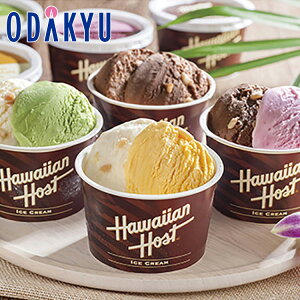 yzc}SݓX m nCAz[Xg n }J_~AibcACX / Ε Ε ~Mtg ~̑蕨 2025 yV e Fl Ј e b͂]Ԏw聦Eւ͓͕s