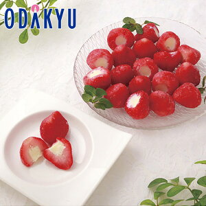 yzc}SݓX m X[ n 䕂̕Δ / Ε Ε ~Mtg ~̑蕨 2025 yV e Fl Ј e b͂]Ԏw聦Eւ͓͕s