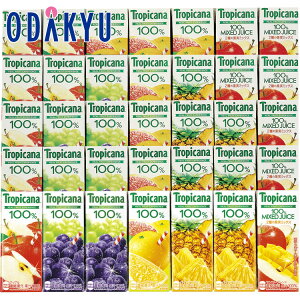 yzc}SݓX m L n gsJ[i 100t[cW[X e l TOR50ND / Ε Ε ~Mtg ~̑蕨 2025 yV e Fl Ј e b͂]Ԏw聦