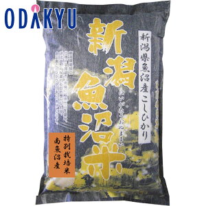 yzc}SݓX ʍ͔| 싛Y Ђ / Ε Ε ~Mtg ~̑蕨 2025 yV e Fl Ј e b11/6菇͂i͂]ԎwjEւ