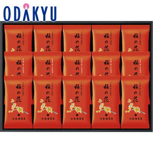 yzc}SݓX m R{CۓX n ~̉ԊC l UF5A / Ε Ε ~Mtg ~̑蕨 2025 yV e Fl Ј e b͂]Ԏw聦Eւ͓͕s