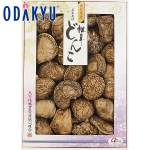 yzc}SݓX m 啪ő_ n 啪Y ǂ񂱒ő AS-50 / Ε Ε ~Mtg ~̑蕨 2025 yV e Fl Ј e b͂]Ԏw聦Eւ͓͕s