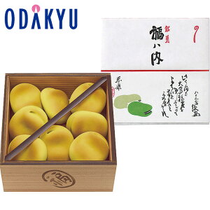 yzc}SݓX m ُ ߉gM n n 13 / Ε Ε ~Mtg ~̑蕨 2025 yV e Fl Ј e b7-10́i͂Ԏw͏IjEւ͓͕s