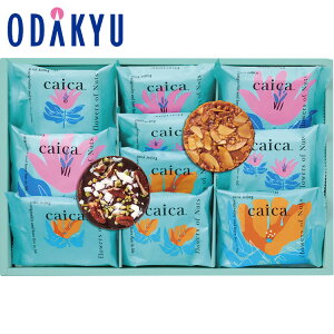 yzc}SݓX m caica n JCJ lMtgZbg / Ε Ε ~Mtg ~̑蕨 2025 yV e Fl Ј e b͂]Ԏw聦Eւ͓͕s