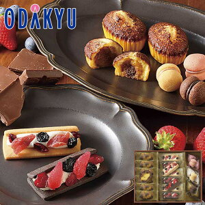 yzc}SݓX m V[L[u n tb^A\[g M / Ε Ε ~Mtg ~̑蕨 2025 yV e Fl Ј e b͂]Ԏw聦Eւ͓͕s