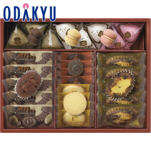 yzc}SݓX m V[L[u n eB~X E t@^WX^ S / Ε Ε ~Mtg ~̑蕨 2025 yV e Fl Ј e b͂]Ԏw聦Eւ͓͕s