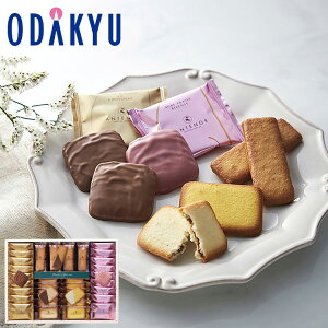 yzc}SݓX m Aem[ n VRNbL[A\[g C-30A / Ε Ε ~Mtg ~̑蕨 2025 yV e Fl Ј e b͂]Ԏw聦Eւ͓͕s