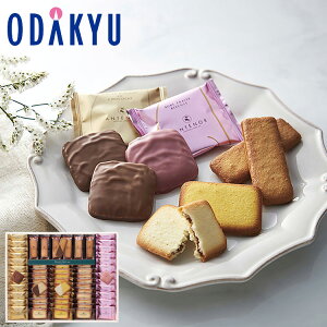 yzc}SݓX m Aem[ n VRNbL[A\[g C-50A / Ε Ε ~Mtg ~̑蕨 2025 yV e Fl Ј e b͂]Ԏw聦Eւ͓͕s