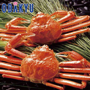 yzc}SݓX {C킢Ɏp / Ε Ε ~Mtg ~̑蕨 2025 yV e Fl Ј e b͂]Ԏw聦Eւ͓͕s