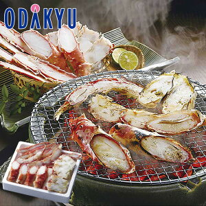 yzc}SݓX {C΂ɍ؂ / Ε Ε ~Mtg ~̑蕨 2025 yV e Fl Ј e b͂]Ԏw聦Eւ͓͕s