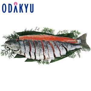 yzc}SݓX m H n Vp؂ / Ε Ε ~Mtg ~̑蕨 2025 yV e Fl Ј e b11/6菇͂i͂]ԎwjEւ͓͕s