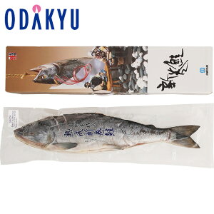 yzc}SݓX m Y n nV pؐg / Ε Ε ~Mtg ~̑蕨 2025 yV e Fl Ј e b11/6菇͂i͂]ԎwjE