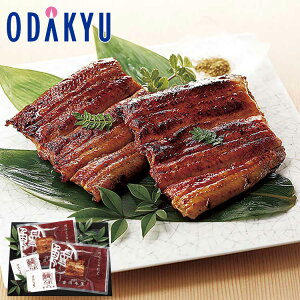 yzc}SݓX m {{D n Ȃ OMG50 / Ε Ε ~Mtg ~̑蕨 2025 yV e Fl Ј e b͂]Ԏw聦Eւ͓͕s