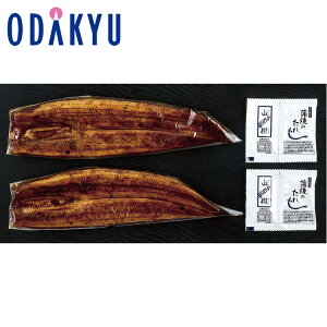 yzc}SݓX Č V mO͈FY {Ȃ MSEK-10NK / Ε Ε ~Mtg ~̑蕨 2025 yV e Fl Ј e b͂]Ԏw聦Eւ͓͕s