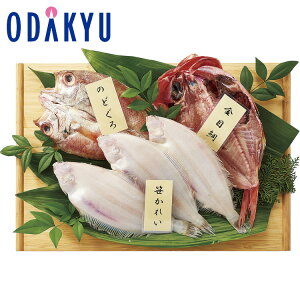 yzc}SݓX m O n ̂ǂƋڑƍꂢ̋l / Ε Ε ~Mtg ~̑蕨 2025 yV e Fl Ј e b11/6菇͂i͂]Ԏwj