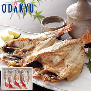 yzc}SݓX m  R n ̂ǂJ0n 4Zbg / Ε Ε ~Mtg ~̑蕨 2025 yV e Fl Ј e b11/6菇͂i͂]Ԏw