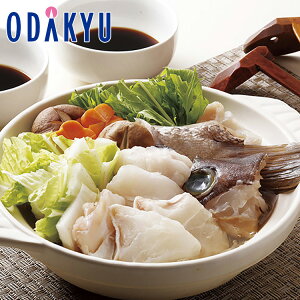 yzc}SݓX m 悩 n NGŖ키YVRNG / Ε Ε ~Mtg ~̑蕨 2025 yV e Fl Ј e b11/6菇͂i͂]Ԏwj