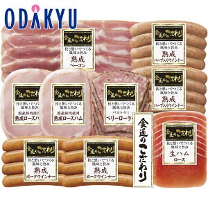 yzc}SݓX m ɓn n Hʂ̂oGeBZbg RP-500N / Ε Ε ~Mtg ~̑蕨 2025 yV e Fl Ј e b11/6菇͂i͂]Ԏw