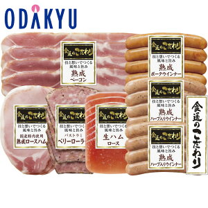 yzc}SݓX m ɓn n Hʂ̂oGeBZbg RP-400N / Ε Ε ~Mtg ~̑蕨 2025 yV e Fl Ј e b11/6菇͂i͂]Ԏw